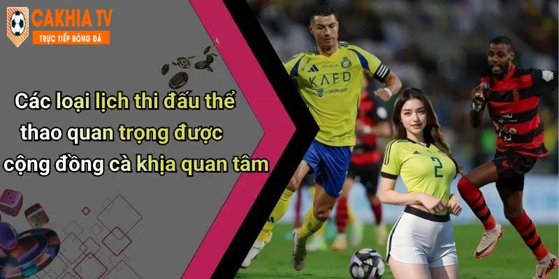 Các loại lịch thi đấu thể thao quan trọng được cộng đồng cà khịa quan tâm