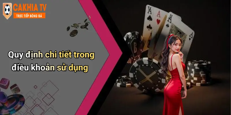Quy định chi tiết trong điều khoản sử dụng