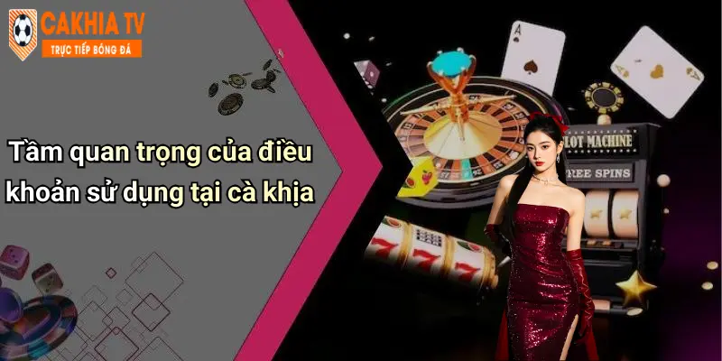 Tầm quan trọng của điều khoản sử dụng tại cà khịa